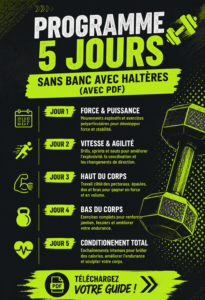 Femme pratiquant un entraînement avec haltères à domicile