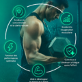 Illustration sur les bienfaits de la créatine pour les performances sportives