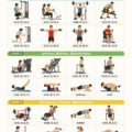 Sélection de cliparts de fitness colorés et inspirants.