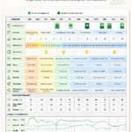 Modèle d'emploi du temps d'entraînement sur Excel avec des exemples de planning sportifs.