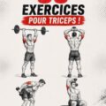 Femme réalisant un exercice de triceps avec des haltères dans un cadre lumineux et accueillant.